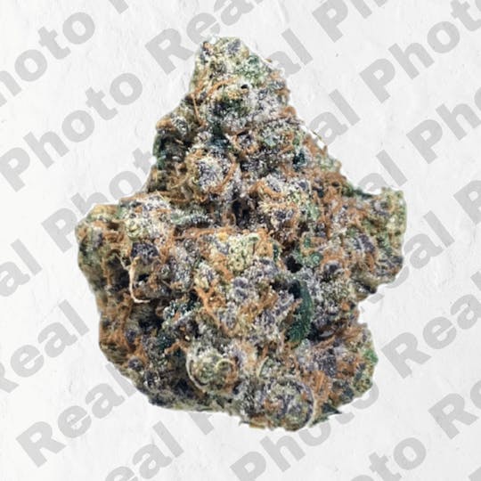 Frostiez - Blue Gelato - Topshelf Indoor - New Drop - Hybrid - 1