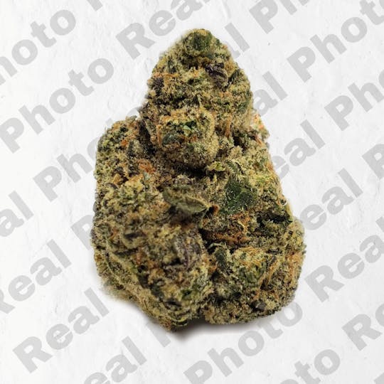 Frostiez - Gelato Cookies - NEW DROP - PREMIUM FLOWER - Indica - 1