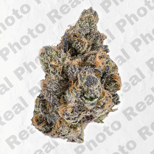 Frostiez - White Bubblegum (3.5g - 1/8oz) - Topshelf Indoor - Indica - 1