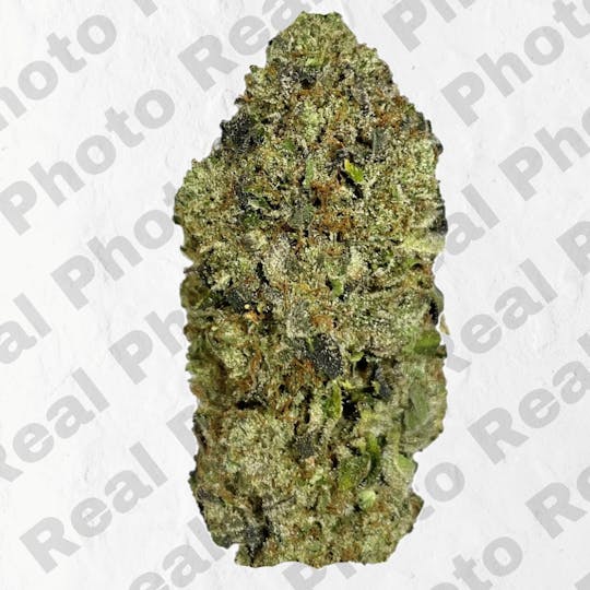 Frostiez - Peanut Butter Cookies (3.5g - 1/8oz) - PREMIUM FLOWER - Indica - 1