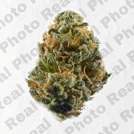 Frostiez - Kandy Kush (3.5g - 1/8oz) - PREMIUM FLOWER - Hybrid - 1