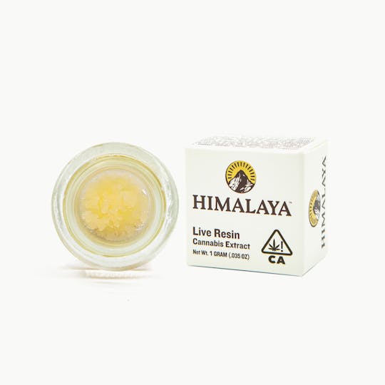 HIMALAYA - Slurty 3 (Terp Sugar Concentrate) - 1G - 1