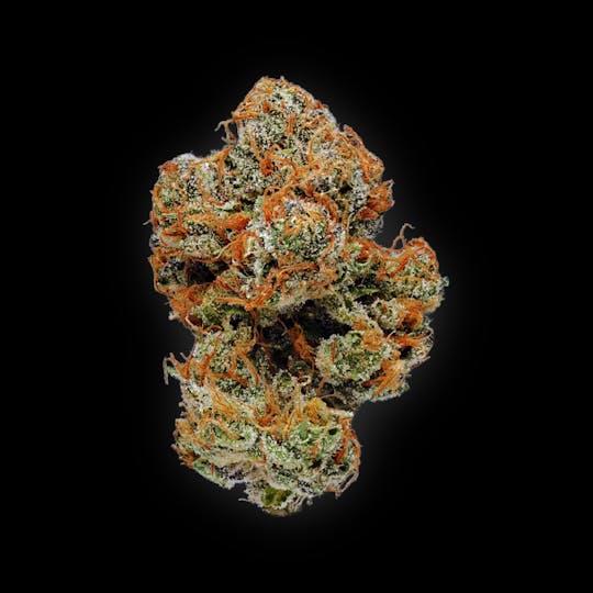 Auraz - Premium Flower | White Buffalo - 1