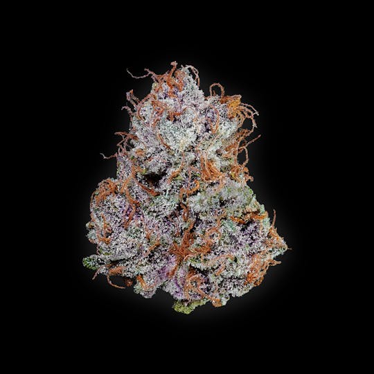 Auraz - Premium Flower | Tropicana Cookies - 1