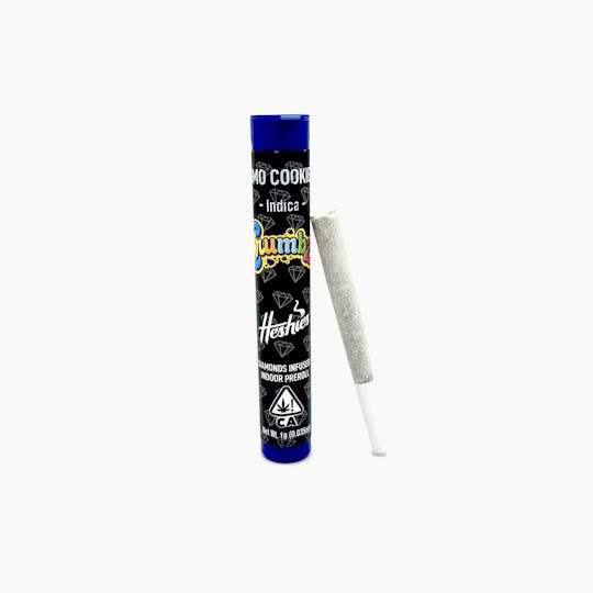 Crumbz - Infused Preroll (1g) - GMO Cookies - 1