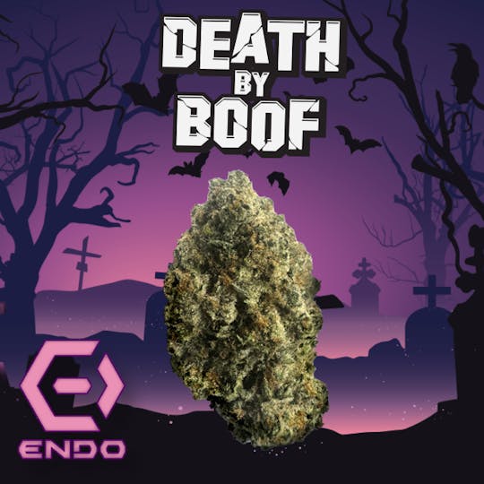 Endo - ENDO DEATH BY BOOF BULK - 1