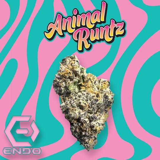 Endo - ENDO ANIMAL RUNTZ BULK - 1