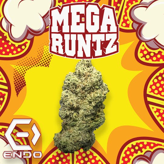 Endo - ENDO MEGA RUNTZ BULK - 1