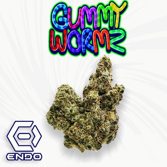Endo - ENDO GUMMY WORMZ 28G - 1