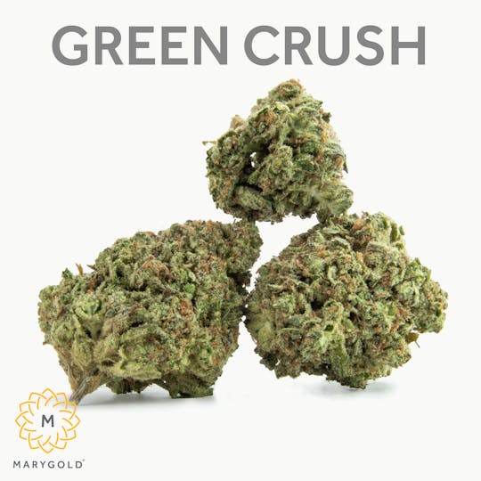 Marygold - Green Crush 3.5g - 1