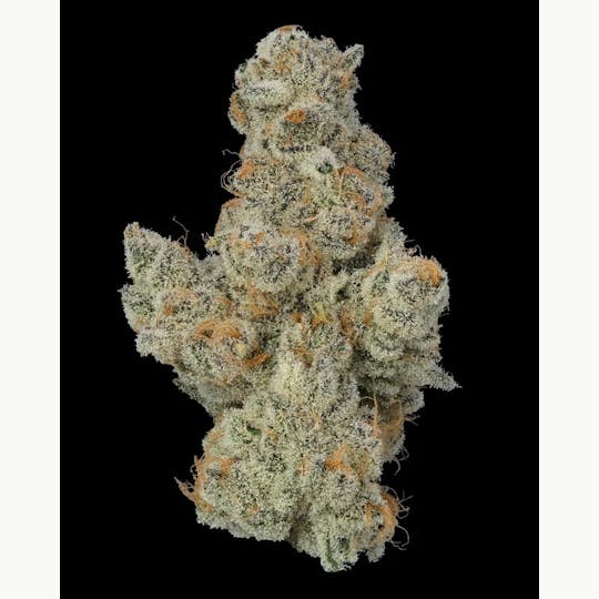 Allure - Platinum OG - 1