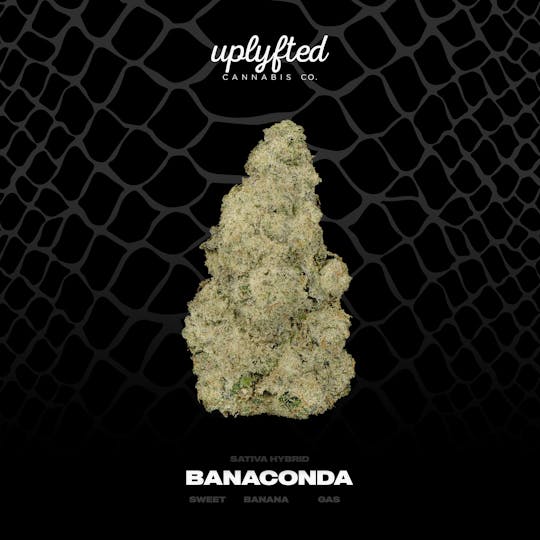 Uplyfted Cannabis Co - Banaconda Bulk- Deli - 1