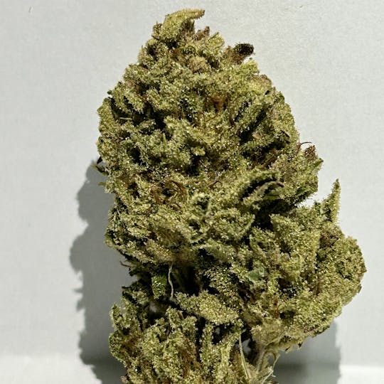 Daedalus Craft Cannabis - $100 Ounce of the Day - Fire Melon - 1
