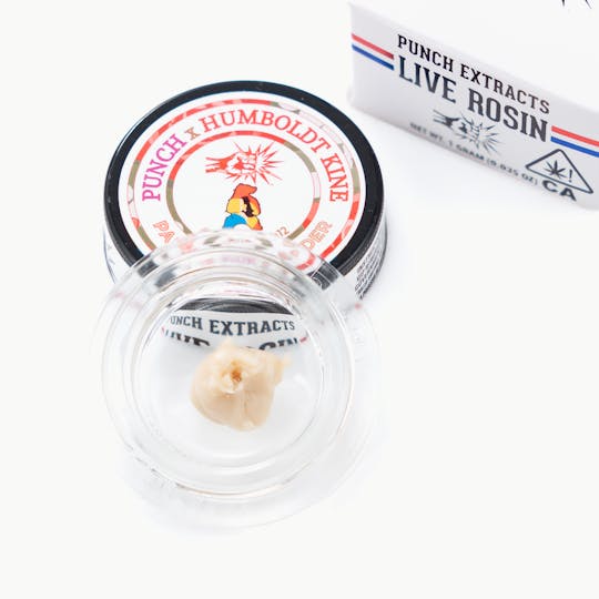 Punch Edibles & Extracts - Pamela #22 Tier 2 Live Rosin Cold Cure Badder (1g) - 1
