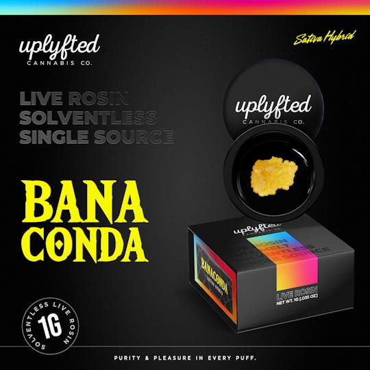 Uplyfted Cannabis Co - Live Rosin 90u - Banaconda - 1