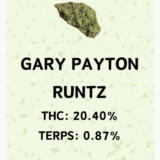 Honeydew - Gary Payton Runtz - 1