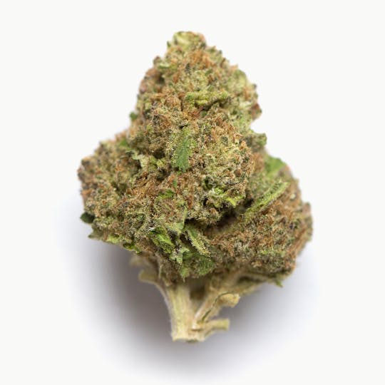 LA Native - Member Berries - Sungrown - 1