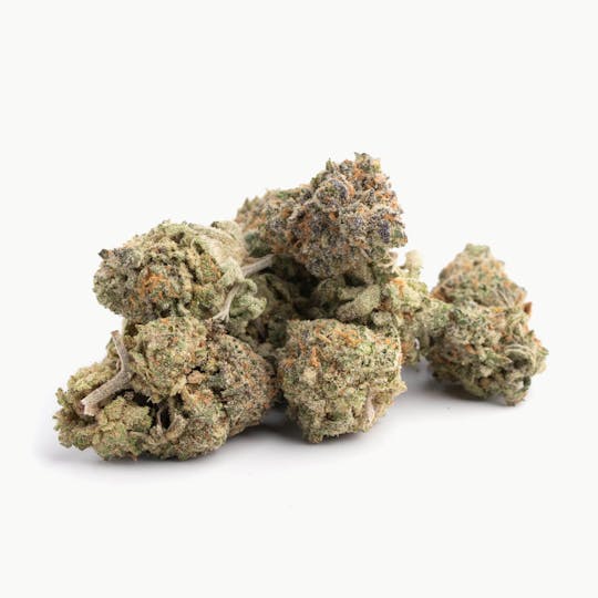 LA Native - Gelato 47 - Mixed Light - 1