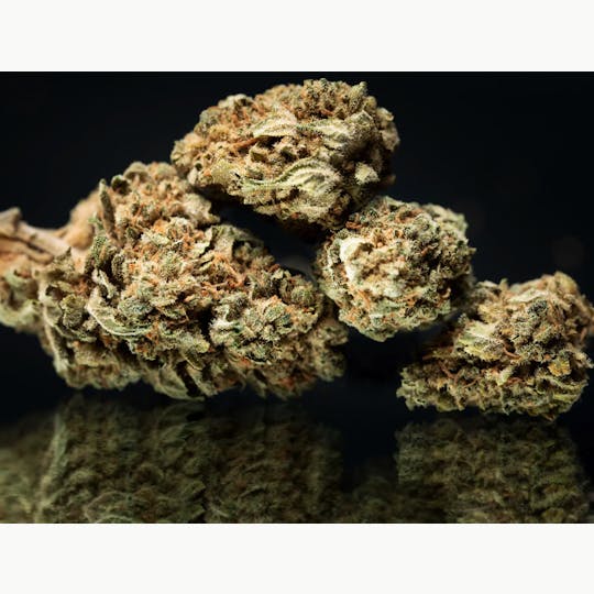 LA Native - Garlic Budder (Low-Shelf) - Hybrid - 1
