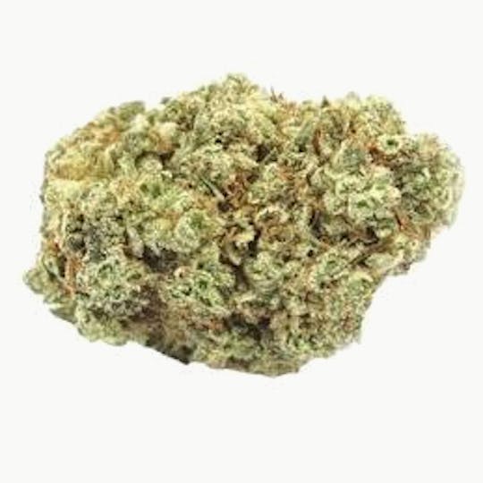 Cannafeen - GORILLA GLUE - 1