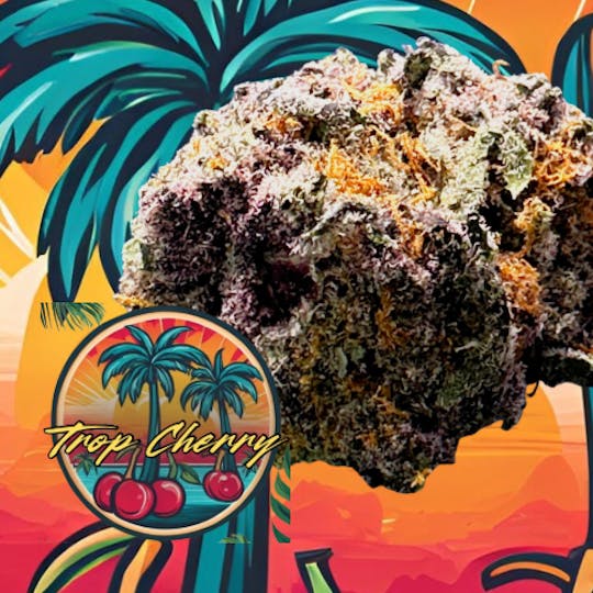 Magnum Weed - Top Shelf Trop Cherry - 1