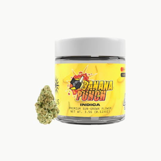 Solis - Banana Punch | Jarred Flower (3.5g) | Indica - 1