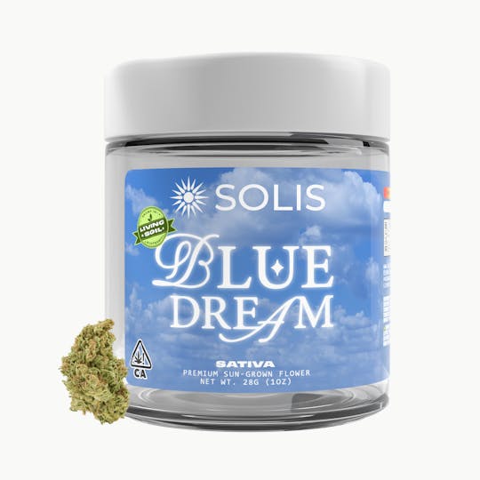 Solis - Blue Dream | Jarred Flower (28g) | Sativa - 1