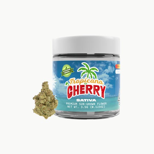 Solis - Tropicana Cherry | Jarred Flower (3.5g) | Sativa - 1