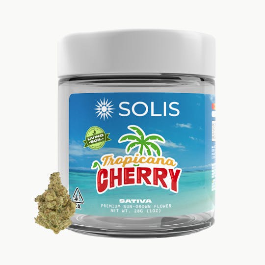 Solis - Tropicana Cherry | Jarred Flower (14g) | Sativa - 1