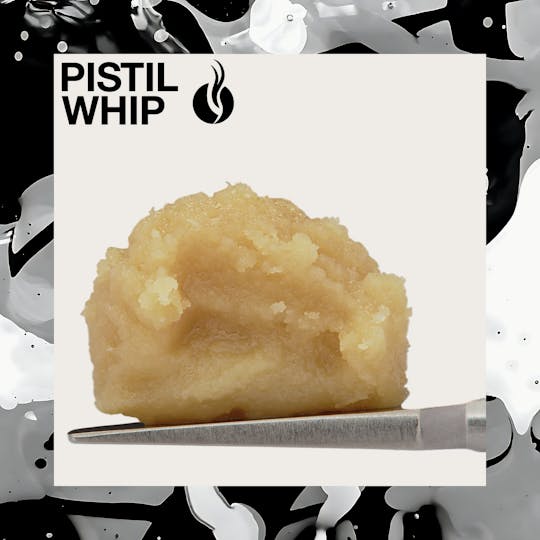 Pistil Whip - Moroccan Peaches Live Rosin Badder (1g) - 1