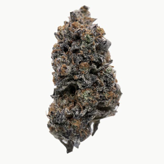 Allure - Blue Cookies - 1