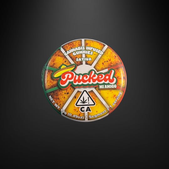 Terp Brands - Pucked | Mi Amigo | Pineapple - 1