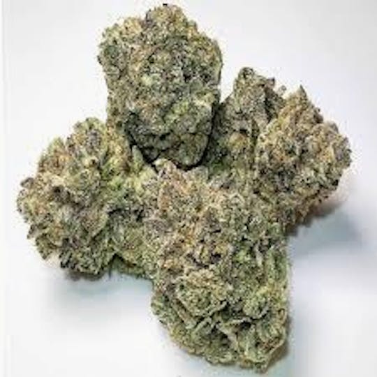 Original Intelligence - Original Intelligence White Runtz 1g Premium Light Assisted - 1
