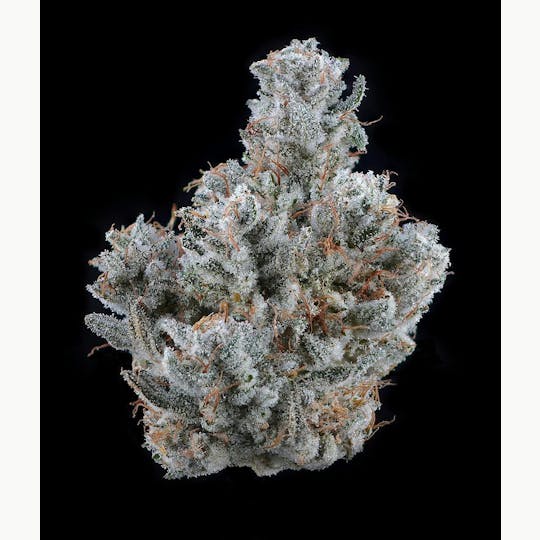 Brave Boat Gardens - GG4 - 1