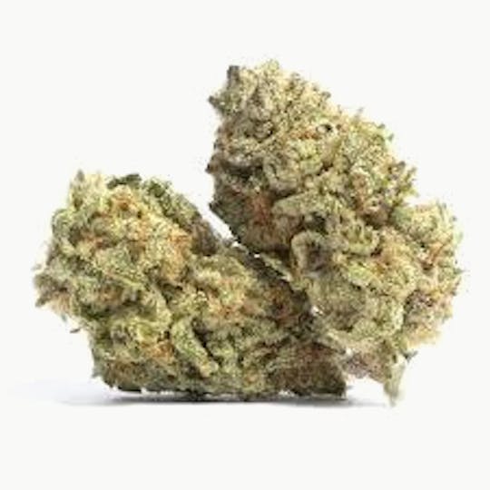 Original Intelligence - Original Intelligence Bubble Runtz 7g Small Premium Light Assisted - 1