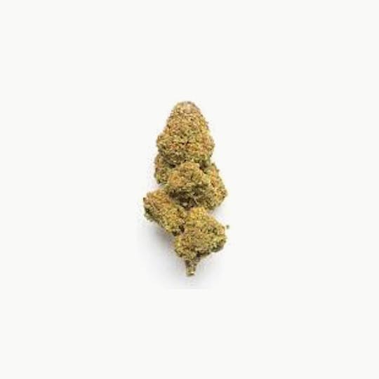 Original Intelligence - Original Intelligence Jack's Revenge 3.5g Small Premium Light Assisted - 1