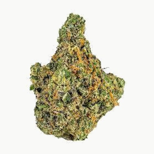 Original Intelligence - Original Intelligence Watermelon Gelato 14g Small Premium Light Assisted - 1