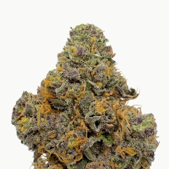 Baked Chicken Farm - BCF - Granny Kandy Flower - 1