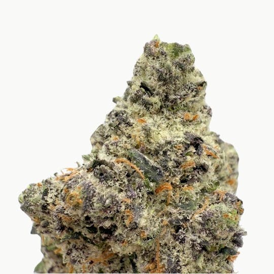 Baked Chicken Farm - BCF - Cherrylicious Flower - 1