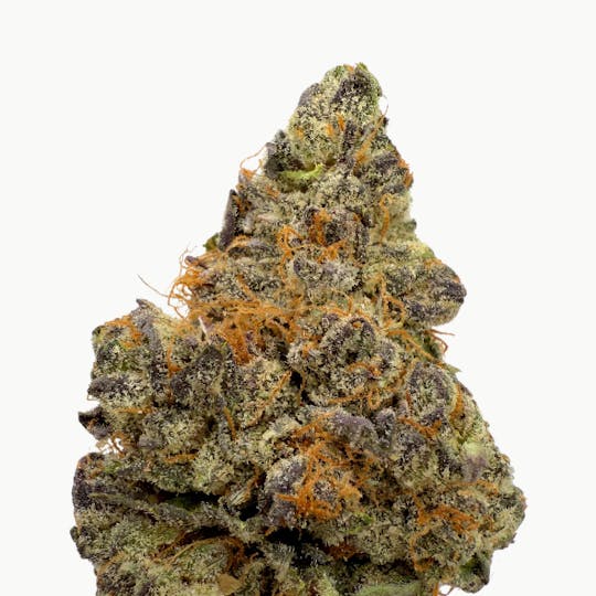 Baked Chicken Farm - BCF - Peanut Butter Breath Flower - 1