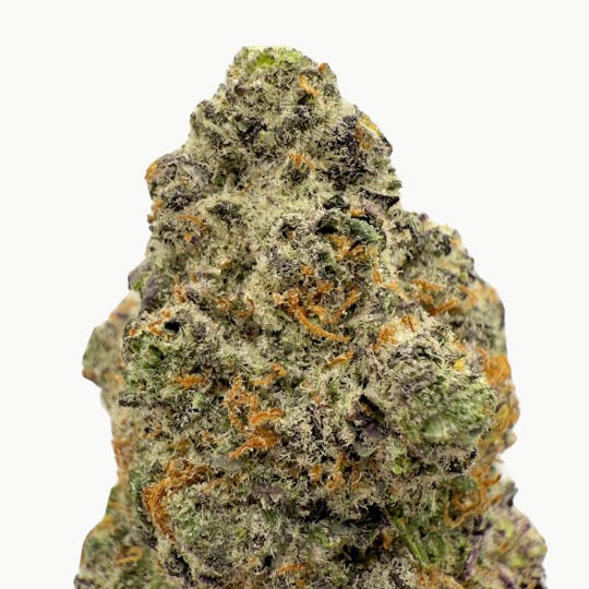 Baked Chicken Farm - BCF - Black Rainbow Flower - 1