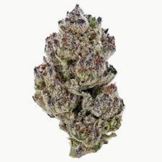 Original Intelligence - Original Intelligence Girl Scout Cookies 3.5g Sun Grown Flower - 1