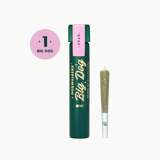 Dogwalkers - Dogwalkers Durban Daydream Big Dog 1g - 1
