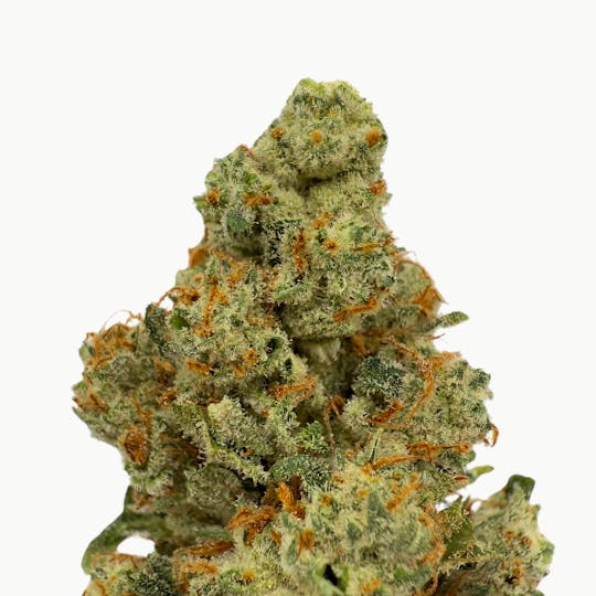 Baked Chicken Farm - BCF - Grease Monkey Flower - 1