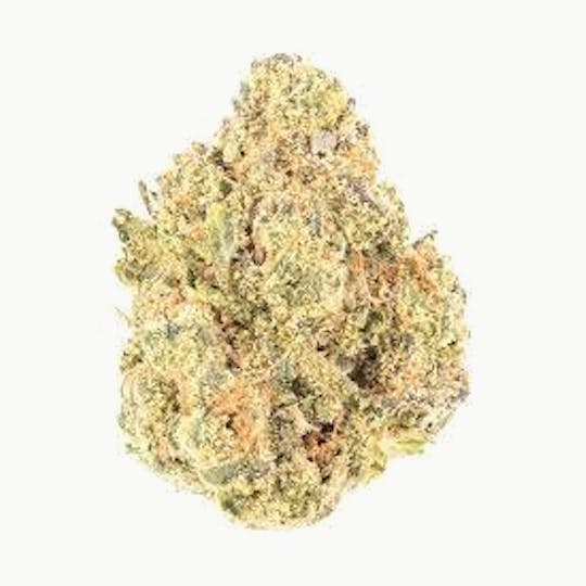 Original Intelligence - Original Intelligence Sherblato 3.5g Sun Grown Flower - 1