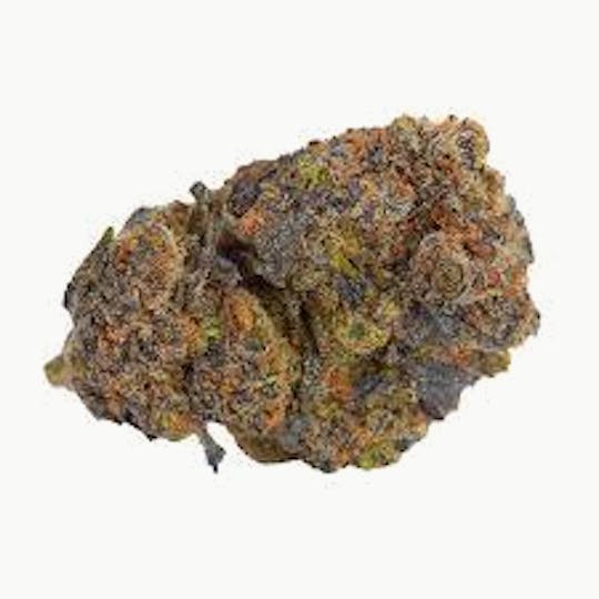 Original Intelligence - Original Intelligence Gelato 41 28g Sun Grown Flower - 1