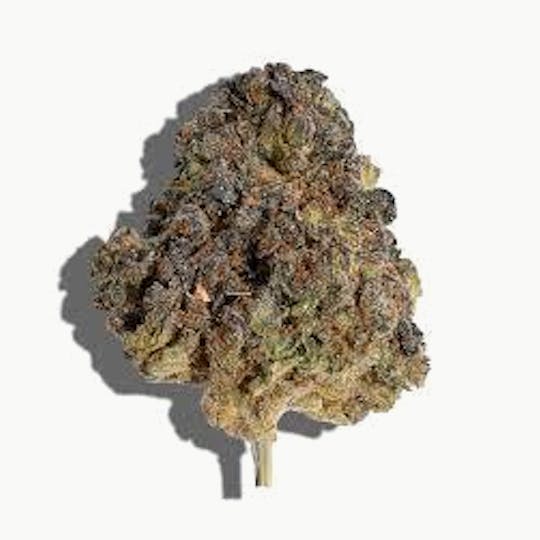 Original Intelligence - Original Intelligence GMO Cherries 28g Sun Grown Flower - 1