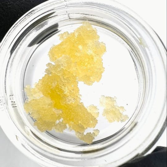 Fireweed Extracts - Cake Lotto Terp Sugar - 0.5g - 1