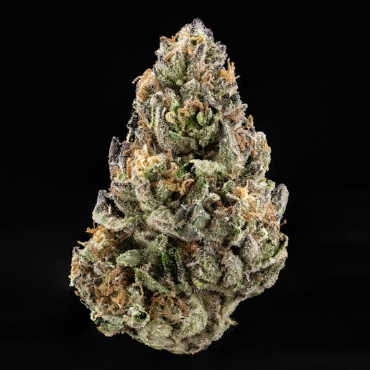 Casa Flor - Indoor - Purple Paletaz - 14g - 1