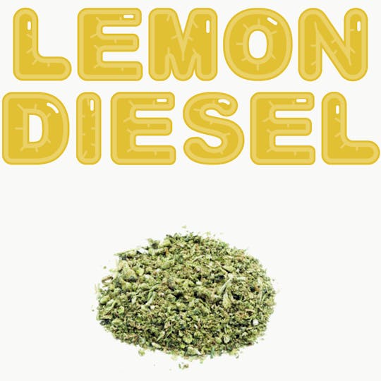 SUPPLY LA - Lemon Diesel | Shake | 14G - 1